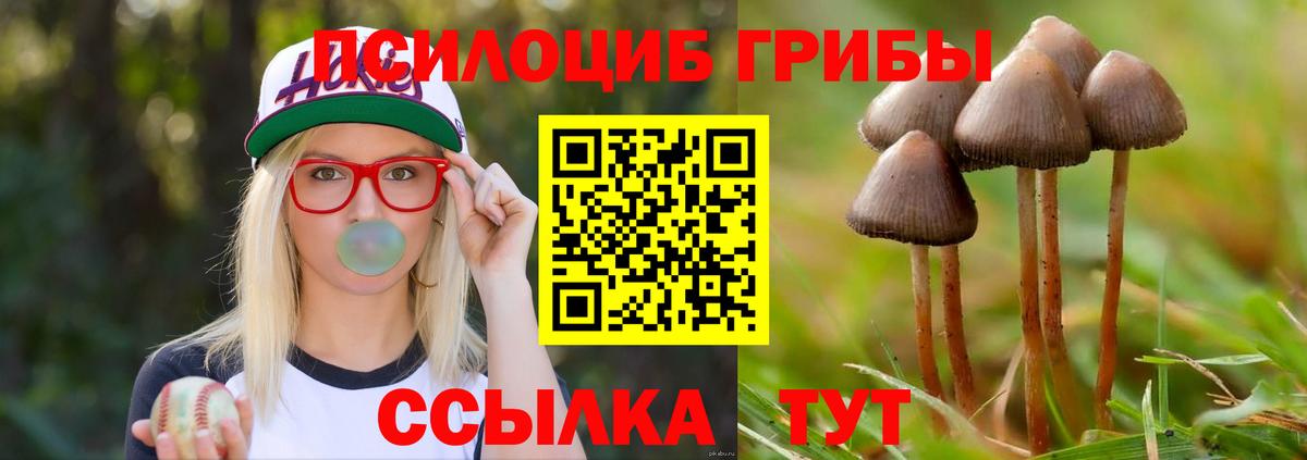 Знаменск  Псилоцибиновые грибы ЛСД  Галлюциногенные грибы мицелий  Вход с VPN 
